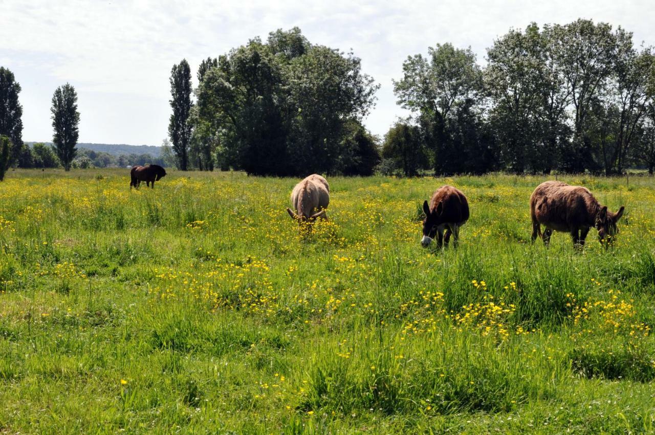 Vila Les Mouettes - La Paix Du Bord De Seine Berville-sur-Seine Exteriér fotografie